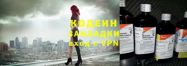 прущие грибы Снежинск