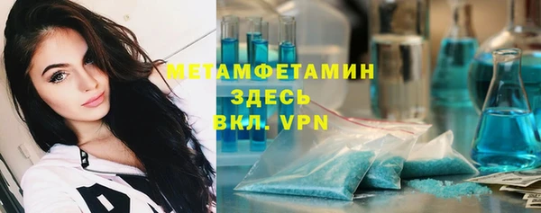 прущие грибы Снежинск