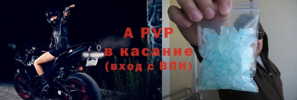 прущие грибы Волосово