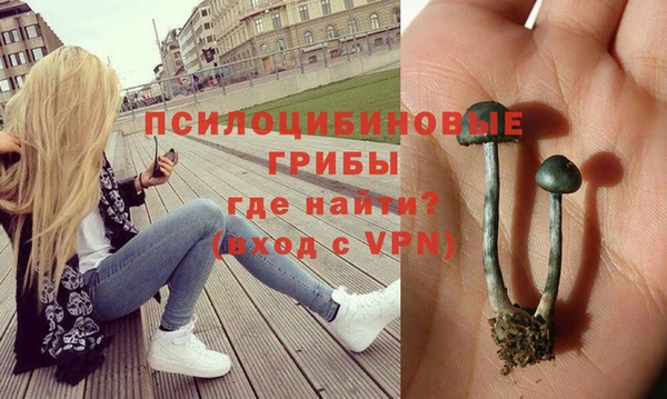 прущие грибы Снежинск