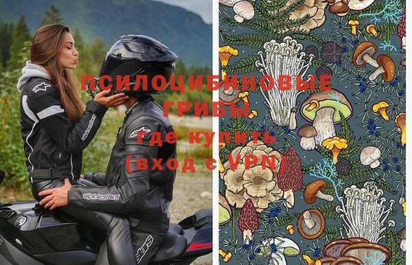 прущие грибы Снежинск